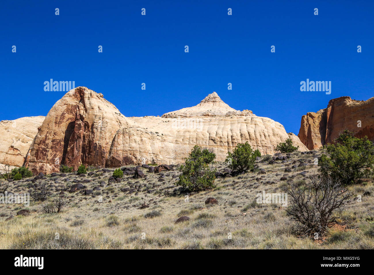 Slick rock trail hires stock photography and images Alamy