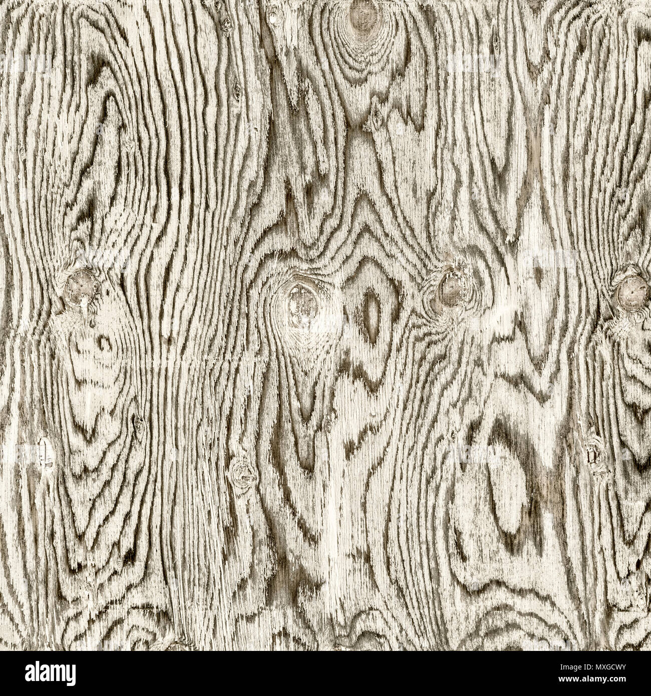 texture of weathered, white painted plywood with grain patterns and