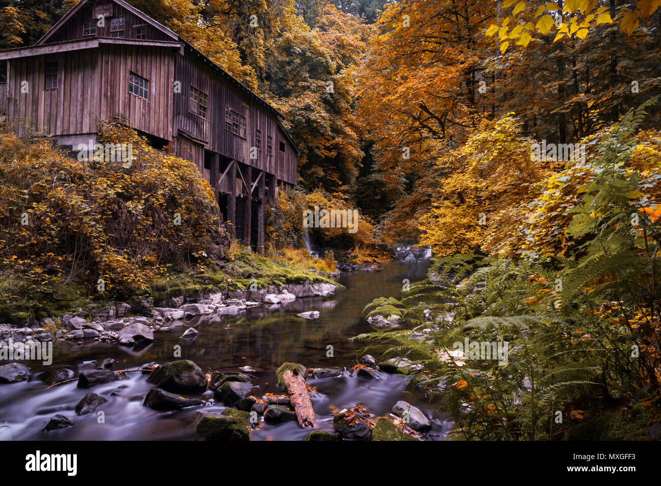 Woodland washington state hires stock photography and images Alamy
