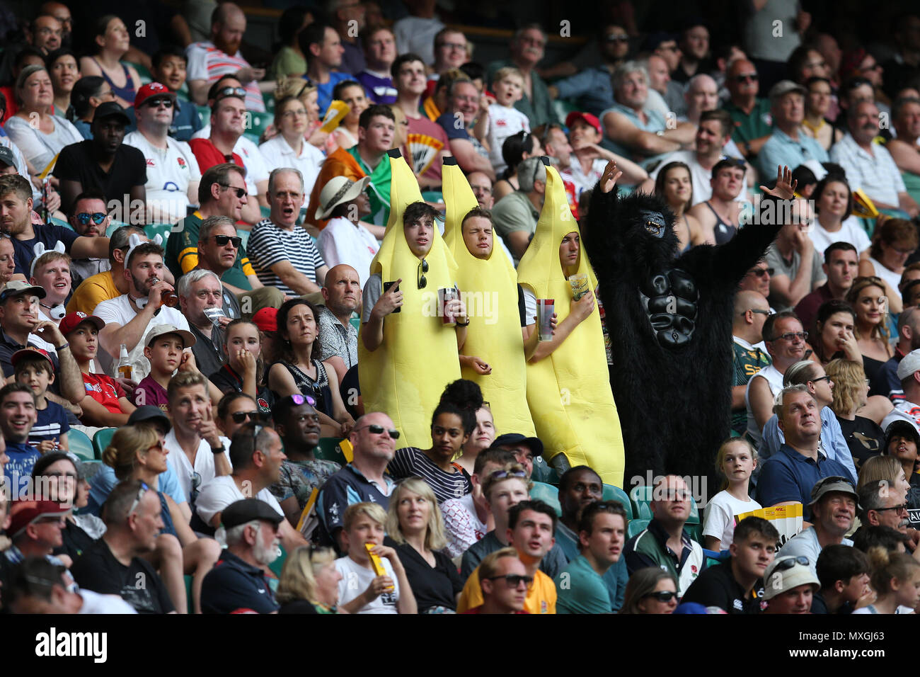 Twickenham, London, UK. 3rd Jun, 2018. Rugby fans wearing fancy dress. HSBC World rugby sevens series 2018 , London, Twickenham Stadium , day 2 on Sunday 3rd June 2018.  this image may only be used for Editorial purposes. Editorial use only,  pic by Andrew Orchard//Andrew Orchard sports photography/Alamy Live news Stock Photo