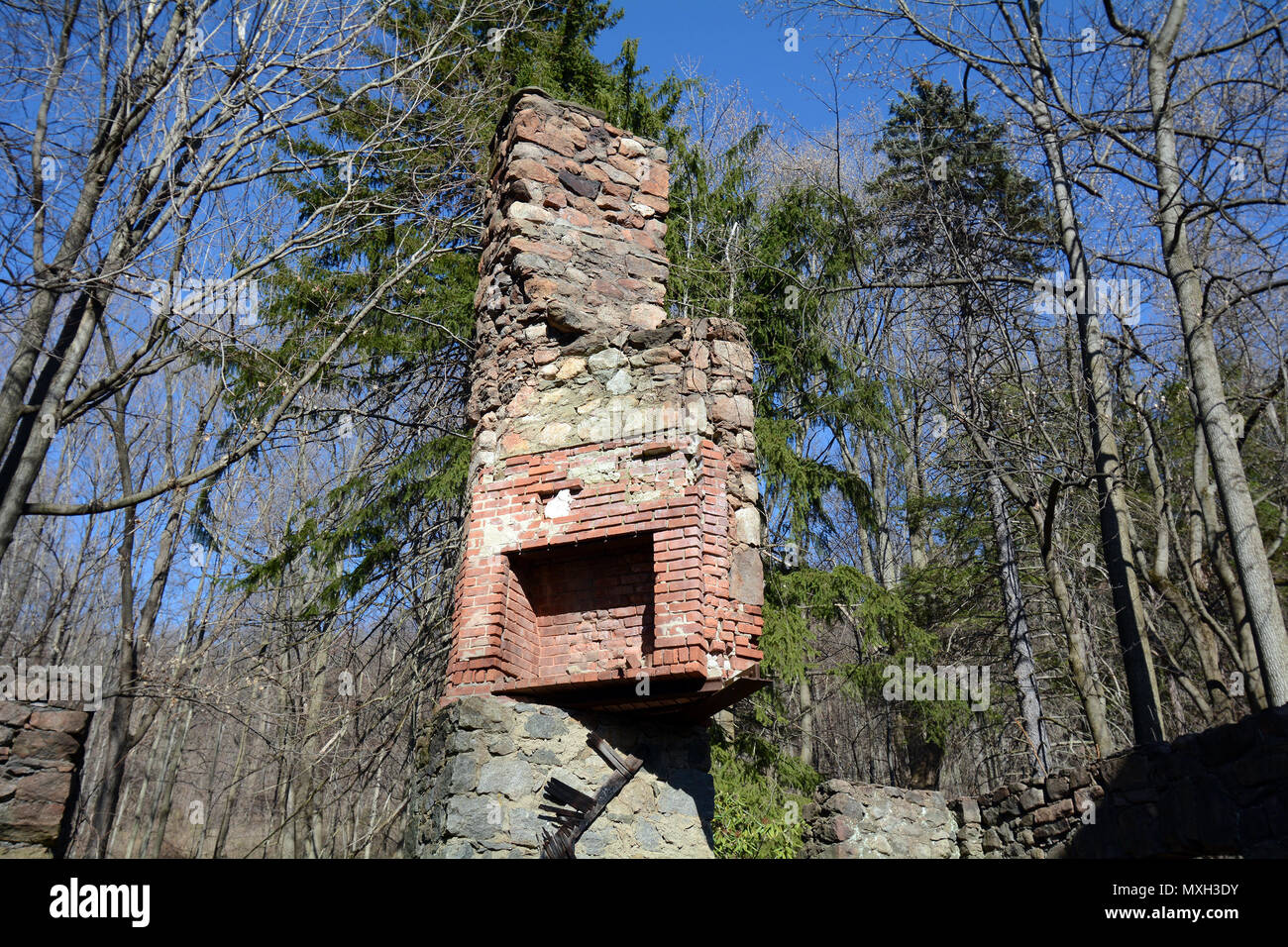 Fireplace and Chimney of Cornish Estate Ruins in the Woods Stock Photo