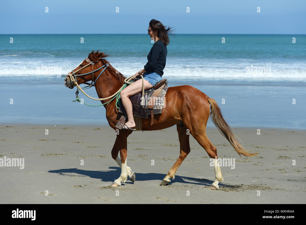 Woman riding on a horse along the ocean shore on a beautiful sunny day Stock Photo