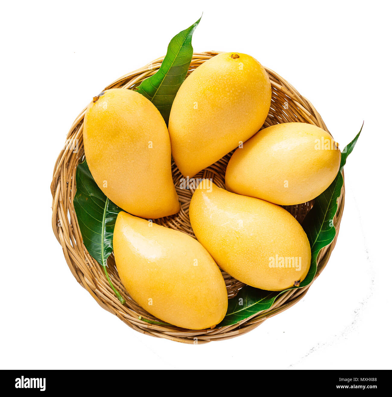 Download Fresh Yellow Mango Beautiful Skin Isolate Stock Photo Alamy PSD Mockup Templates