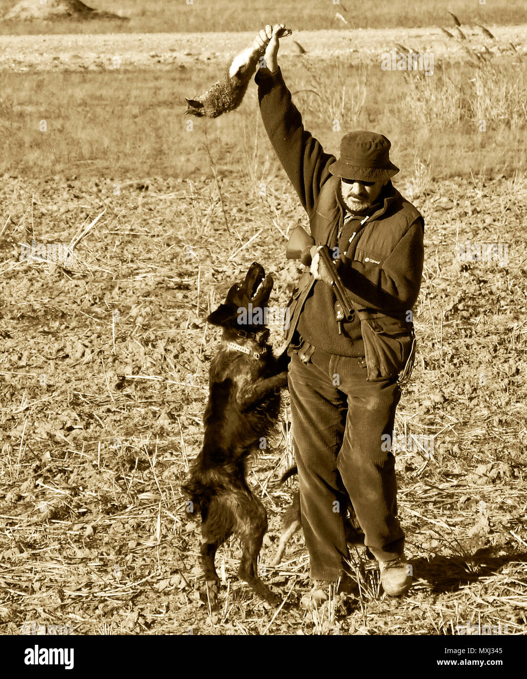Escena de caza con perro, cazador y liebre Stock Photo