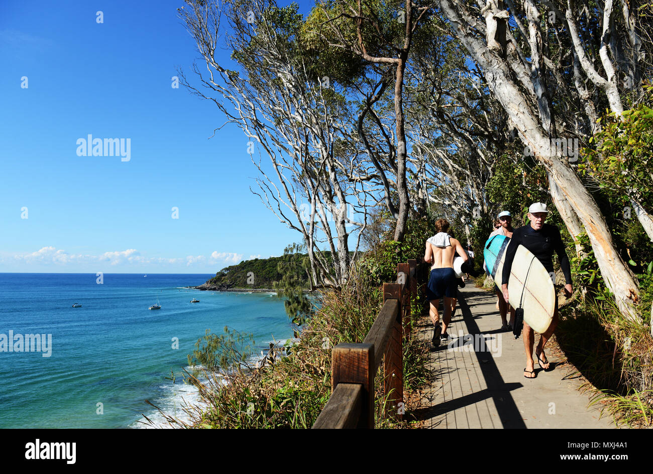 Hikers and surfers walking on the coastal trail in Noosa national park in  Queensland Stock Photo - Alamy
