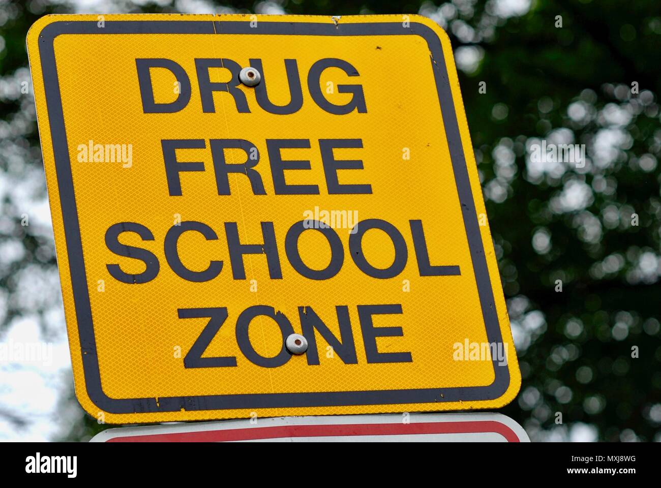 Close-up image of a sign near a school warning that it is a 'drug free school zone'. Background includes tree limbs and the sky. Stock Photo