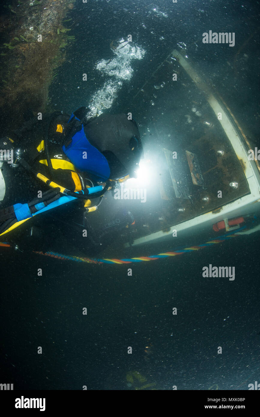 Lt. Cmdr. (Dr.) Shalimar Enright, assigned to Mobile Diving Salvage