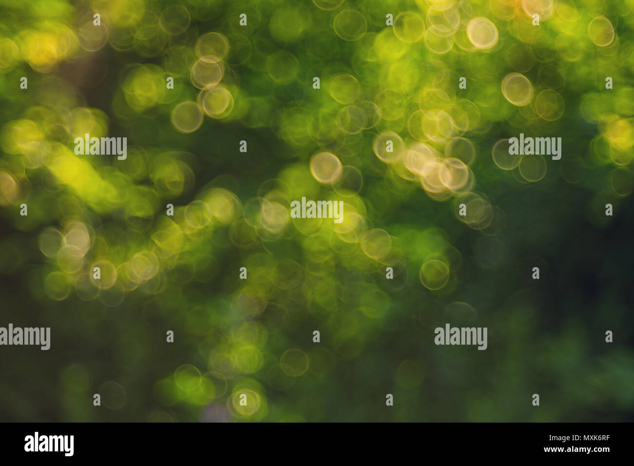 Blured bokeh background trioplan. Vintage lens. Stock Photo