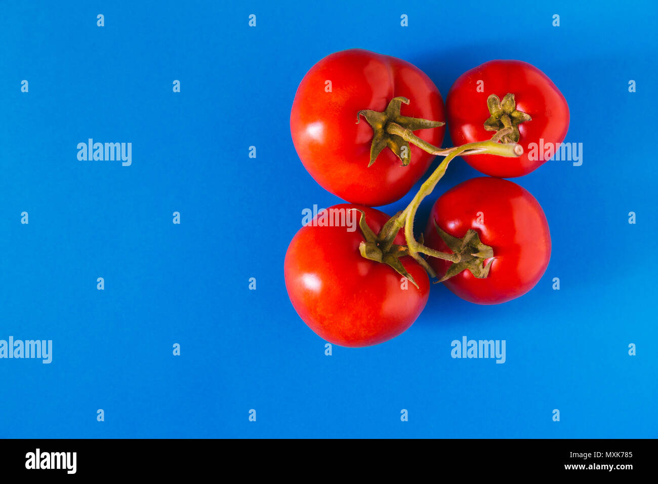 Tomatoes on a blue background. Complementary colors Stock Photo