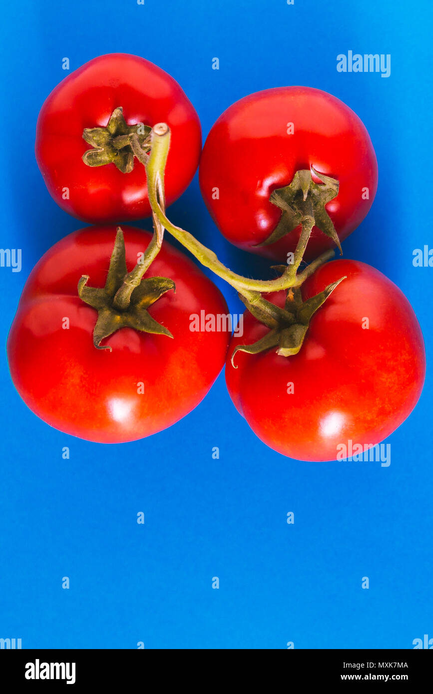 Tomatoes on a blue background. Complementary colors Stock Photo