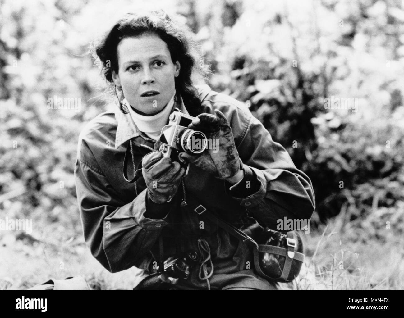 sigourney weaver, gorillas in the mist, 1988 Stock Photo - Alamy