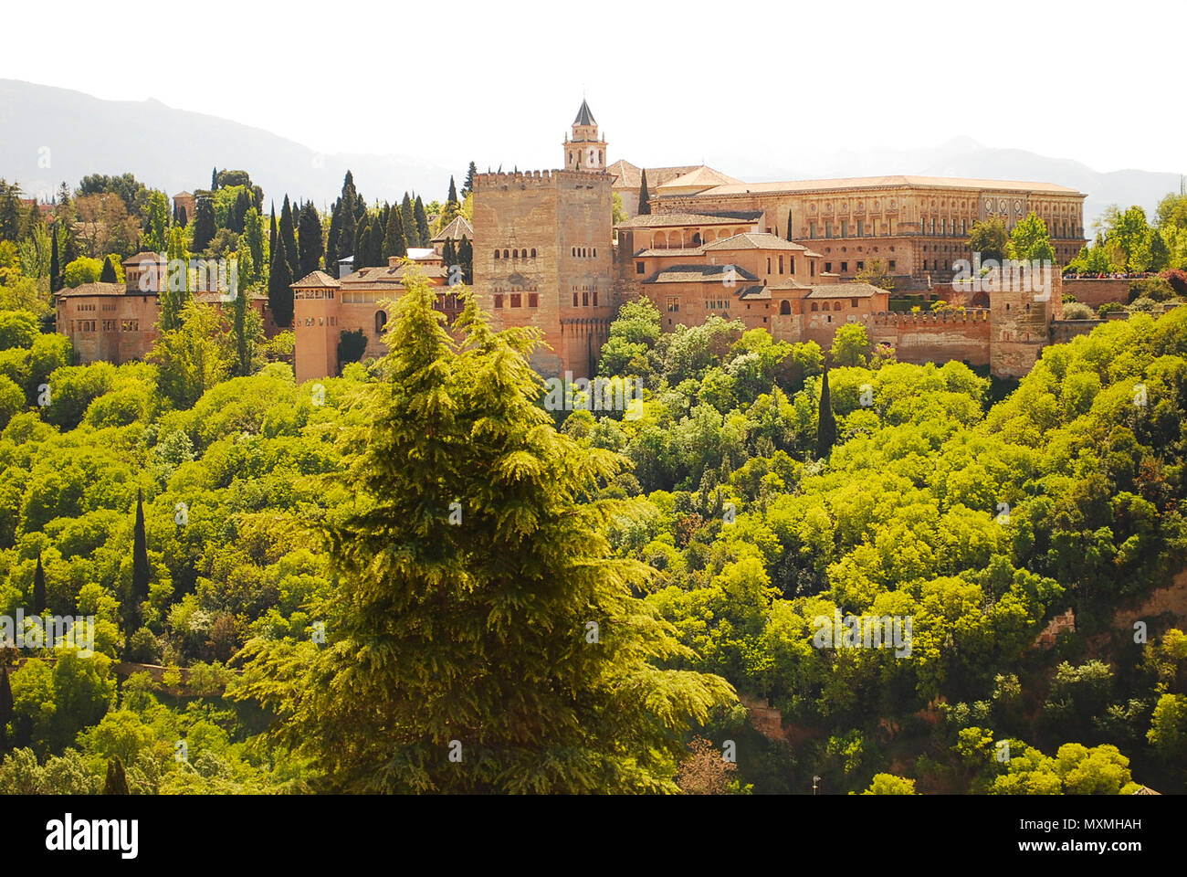 the beautiful alhambra of Granada Stock Photo Alamy