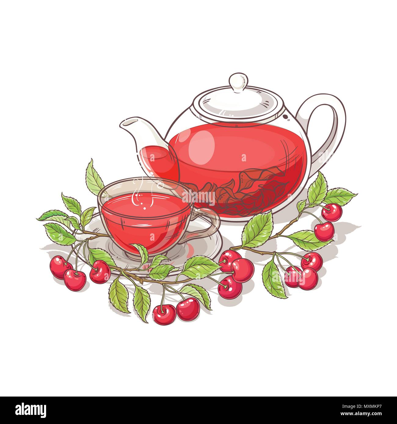 cherry tea vector illustration on white background Stock Vector