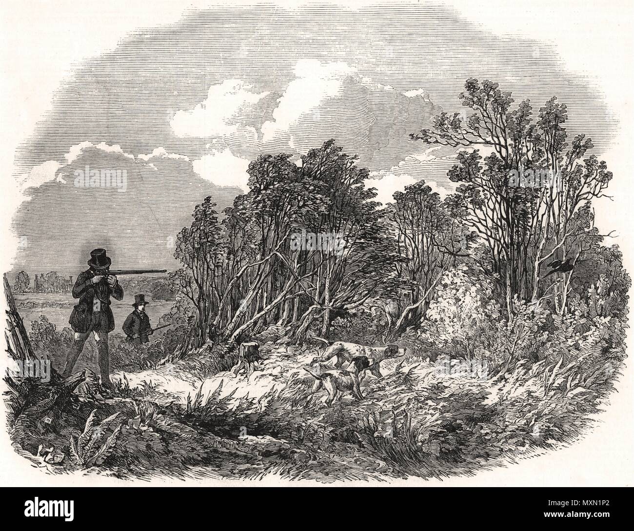 Pheasant shooting. Kent 1850. The Illustrated London News Stock Photo