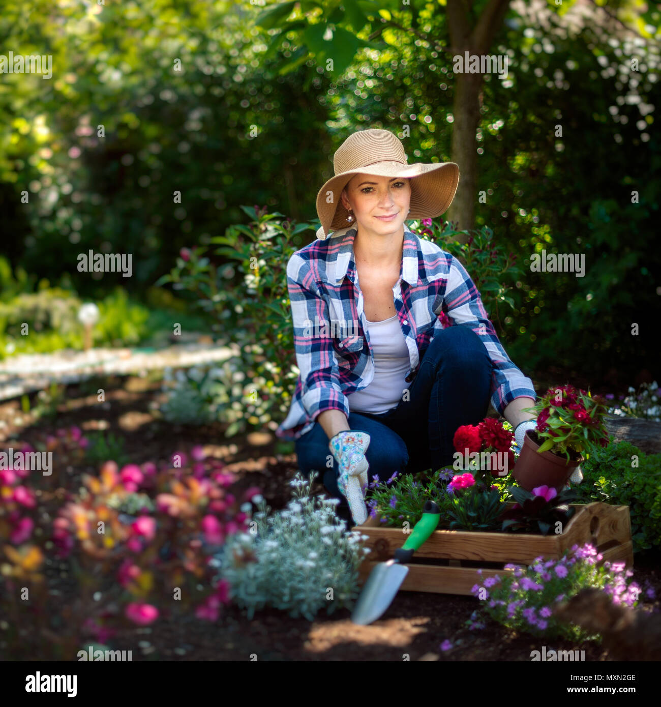 Beautiful female gardener looking at camera smiling and holding wooden crate full of flowers ready to be planted in her garden. Gardening concept. Stock Photo