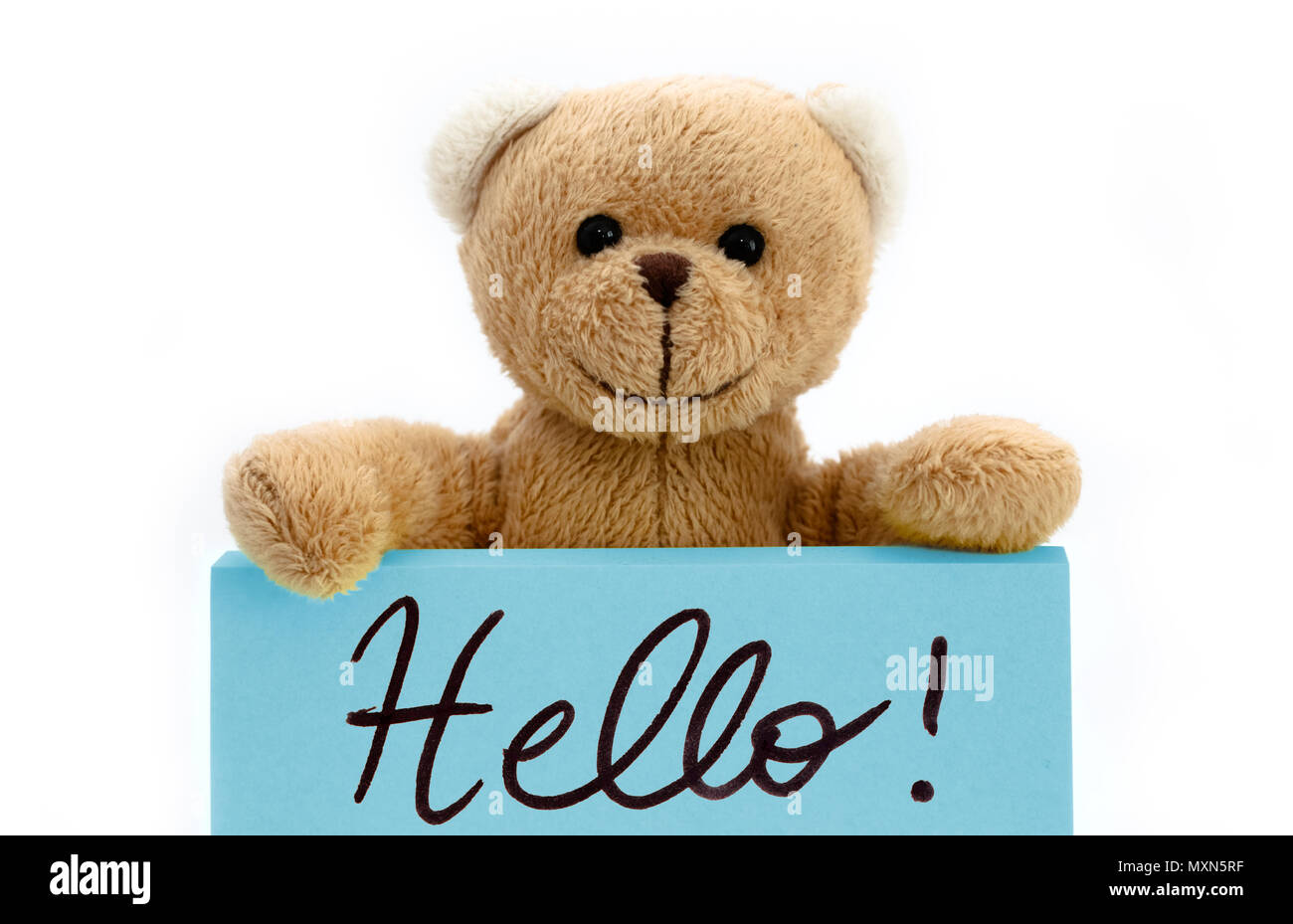 Brown teddy bear holding with the two hands a note in blue color with the handwritten message “Hello!” as welcome sign concept. Photo isolated in a se Stock Photo
