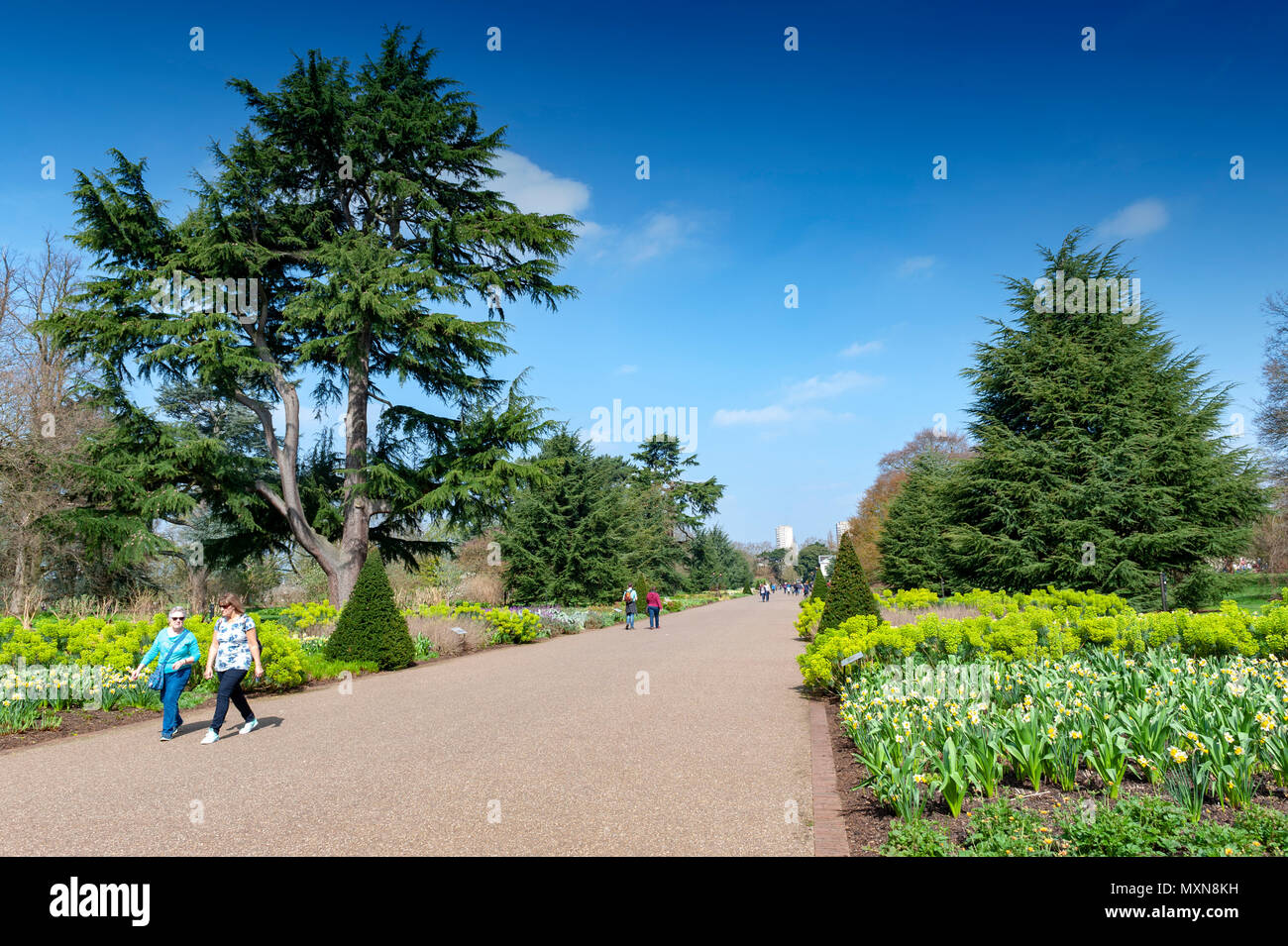 London, UK - April 2018: Great Broad Walk Borders, a floral ornamental promenade and botanic garden at Kew Gardens Stock Photo