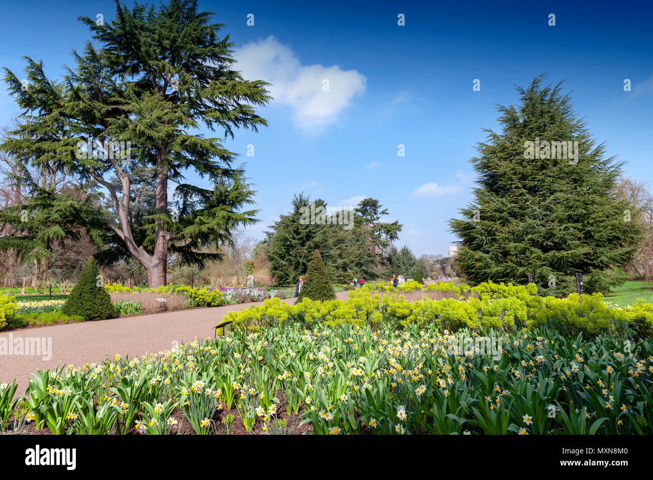 London, UK - April 2018: Great Broad Walk Borders, a floral ornamental promenade and botanic garden at Kew Gardens Stock Photo