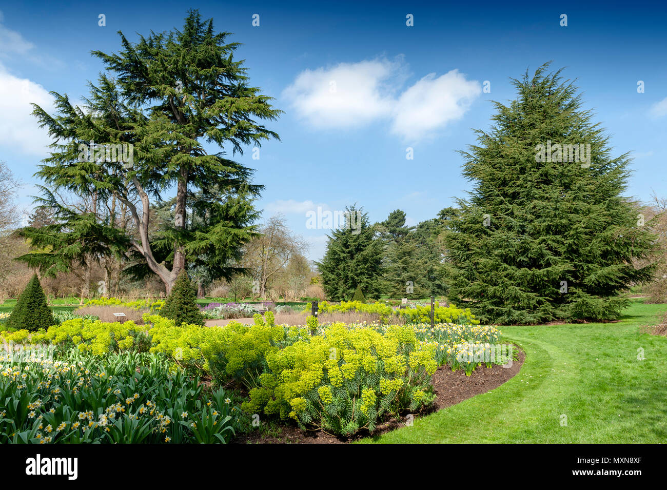 London, UK - April 2018: Great Broad Walk Borders, a floral ornamental promenade and botanic garden at Kew Gardens Stock Photo