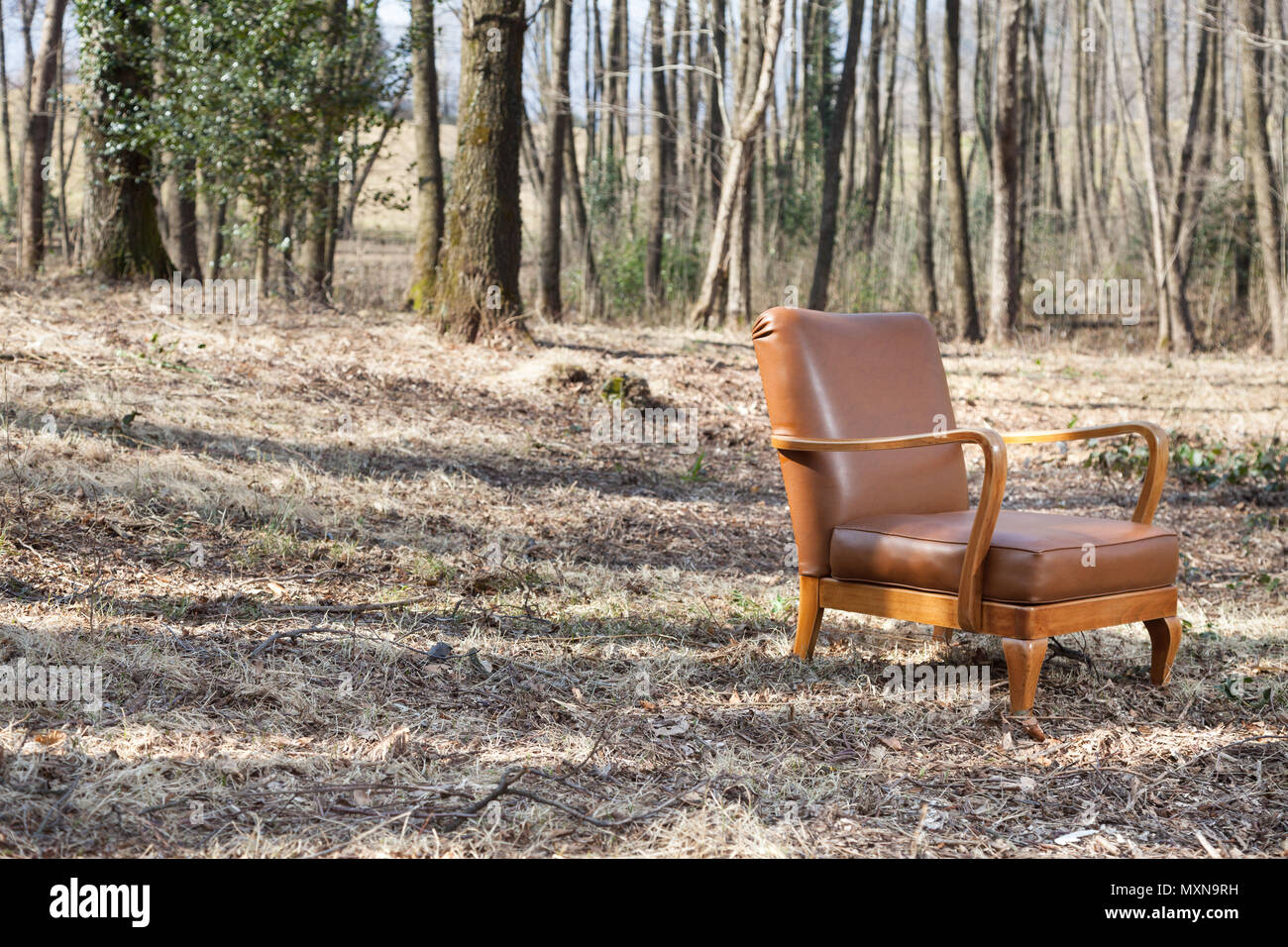 Vintage armchair in an autumn forest, scene Stock Photo