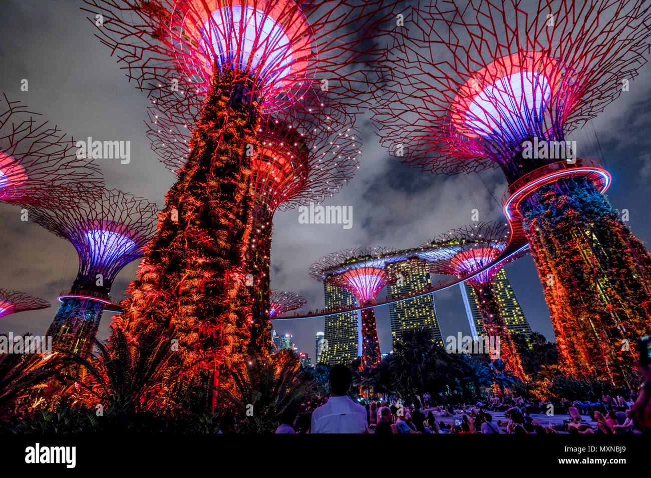 Singapore - April 30, 2018: Garden Rhapsody light and sound shows on Supertree Grove with OCBC Skyway at Gardens by the Bay. Marina Bay Sands on background. Popular tourist attraction. Red lighting. Stock Photo