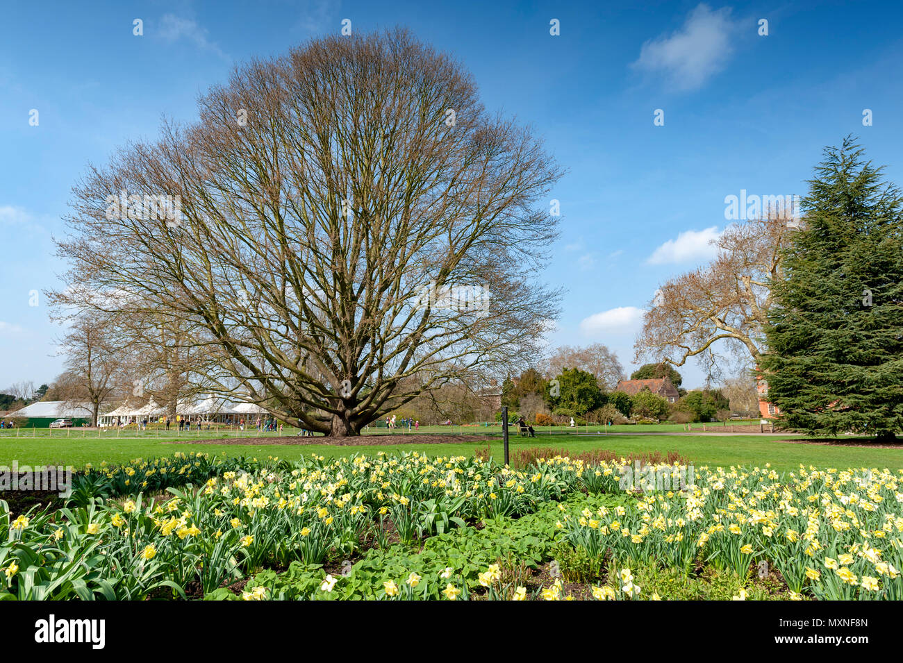 London, UK - April 2018: Summer day at Kew Gardens, a botanical garden in southwest London Stock Photo