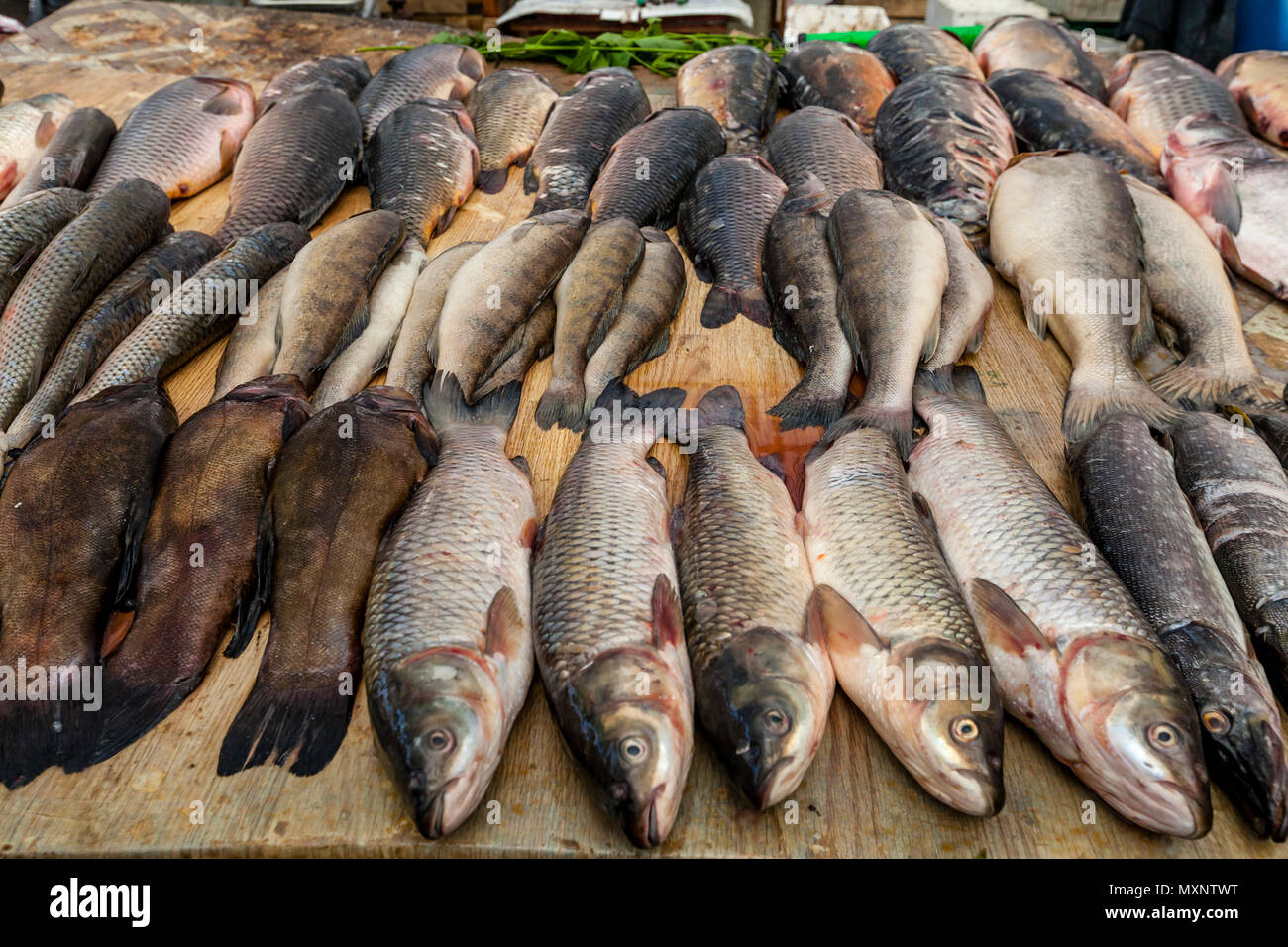 Fresh Fish For Sale At The Privoz Market, Odessa, Ukraine Stock Photo