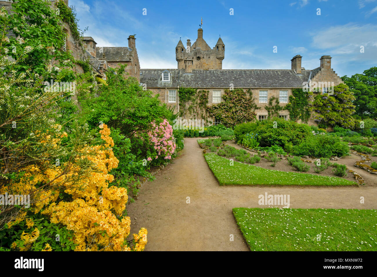 CAWDOR CASTLE NAIRN SCOTLAND  PINK AND YELLOW AZALEA FLOWERS IN THE CASTLE GARDENS Stock Photo