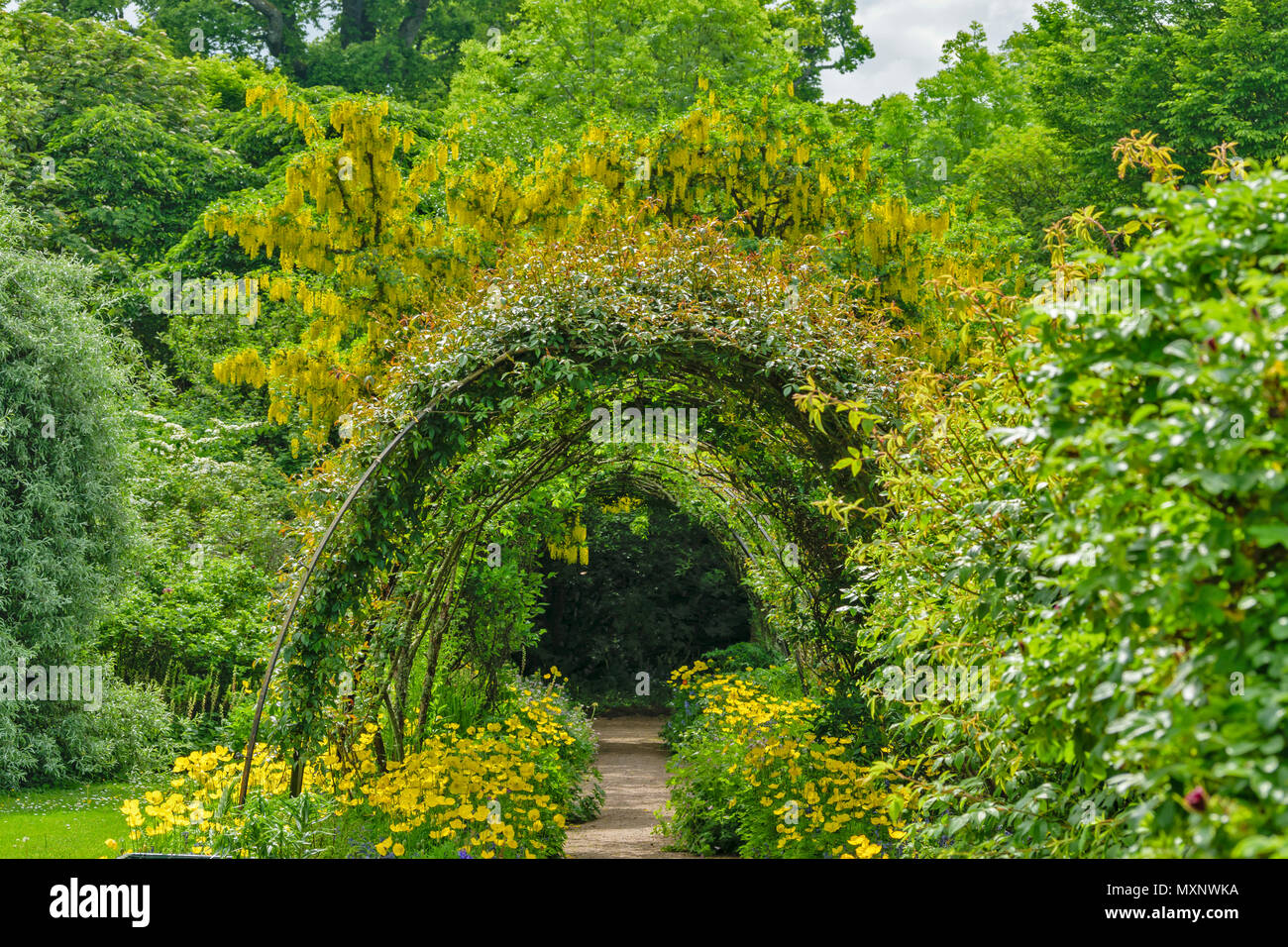 CAWDOR CASTLE NAIRN SCOTLAND GARDEN ARCHWAY LINED BY FLOWERS WITH LABURNUM TREES IN THE BACKGROUND Stock Photo