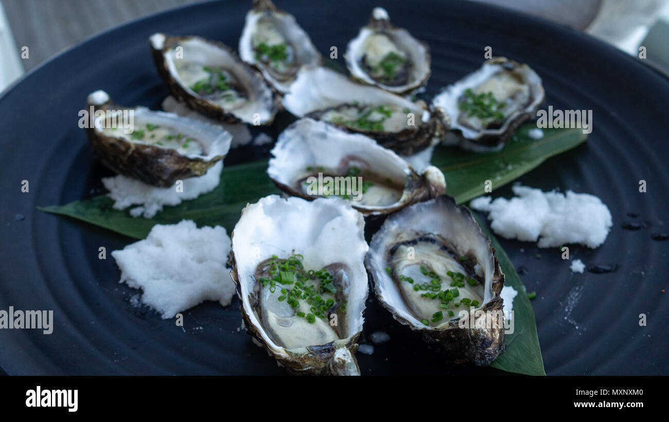 Canapes fresh oysters topped with spring onion and rock salt Stock
