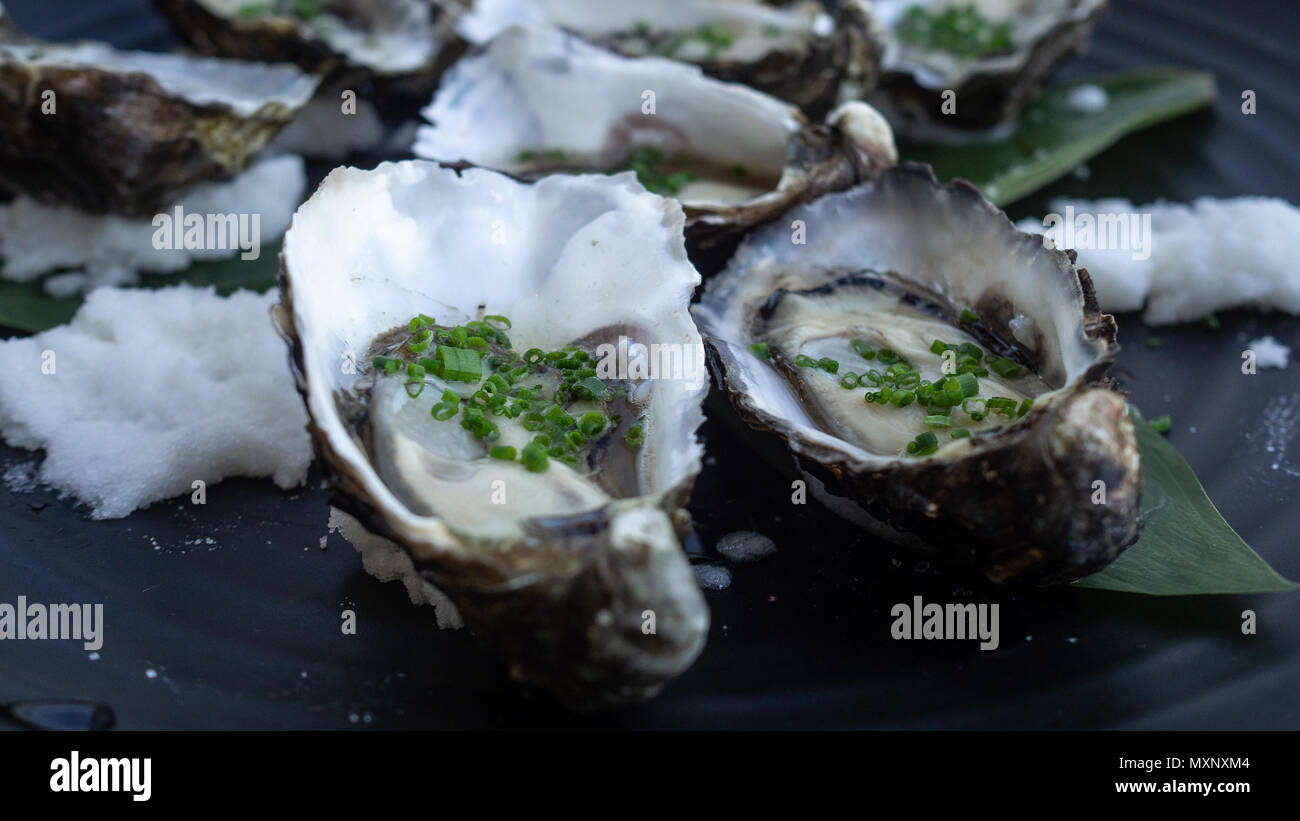 Canapes: fresh oysters topped with spring onion and rock salt Stock Photo