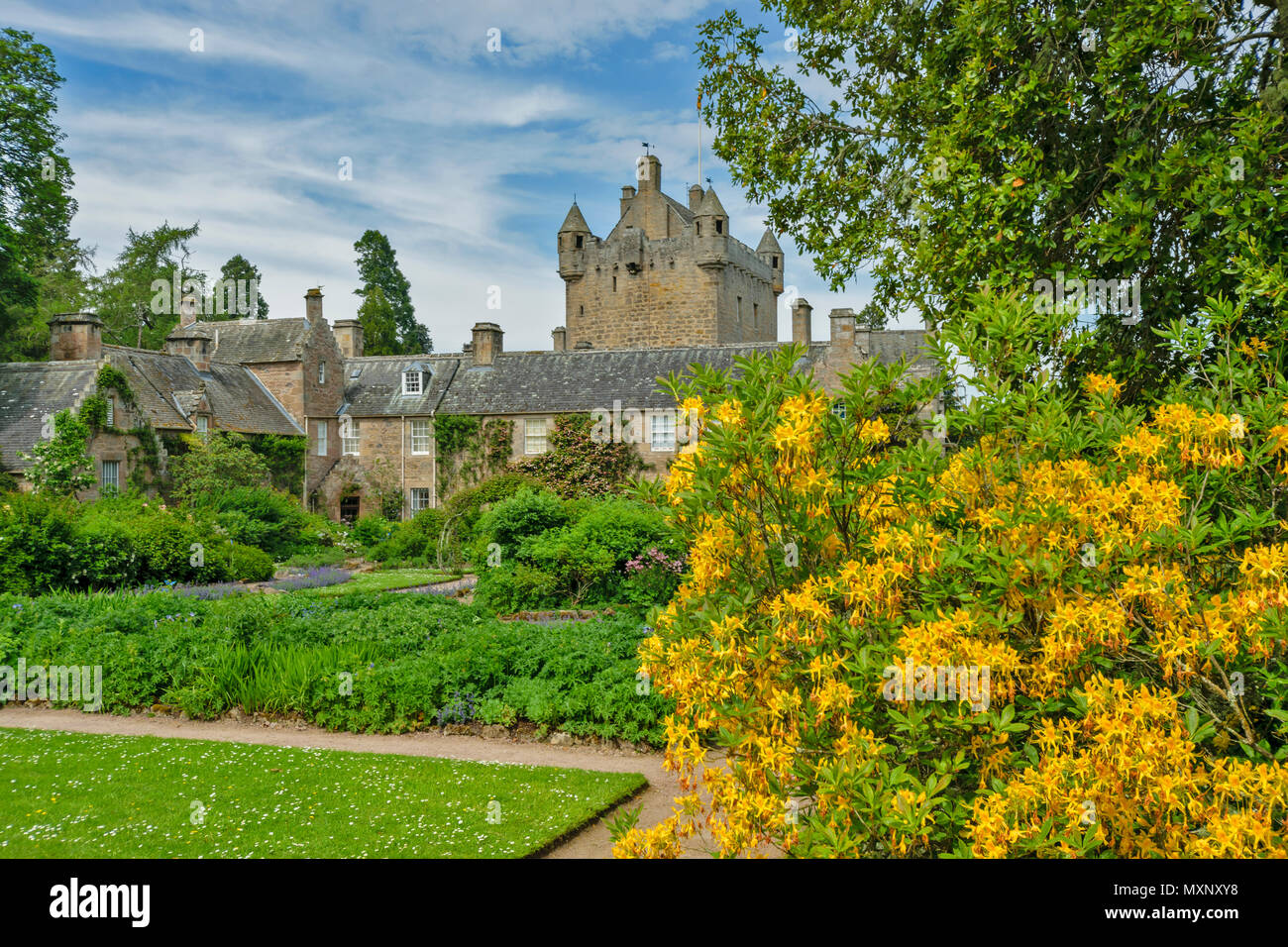 CAWDOR CASTLE NAIRN SCOTLAND GARDEN THE BUILDING AND TOWER WITH YELLOW AZALEA FLOWERS Stock Photo