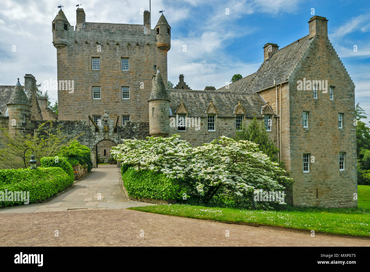 CAWDOR CASTLE NAIRN SCOTLAND THE MAIN BUILDING BRIDGE AND TOWER SHRUB WITH WHITE BLOSSOM IN SPRING Stock Photo