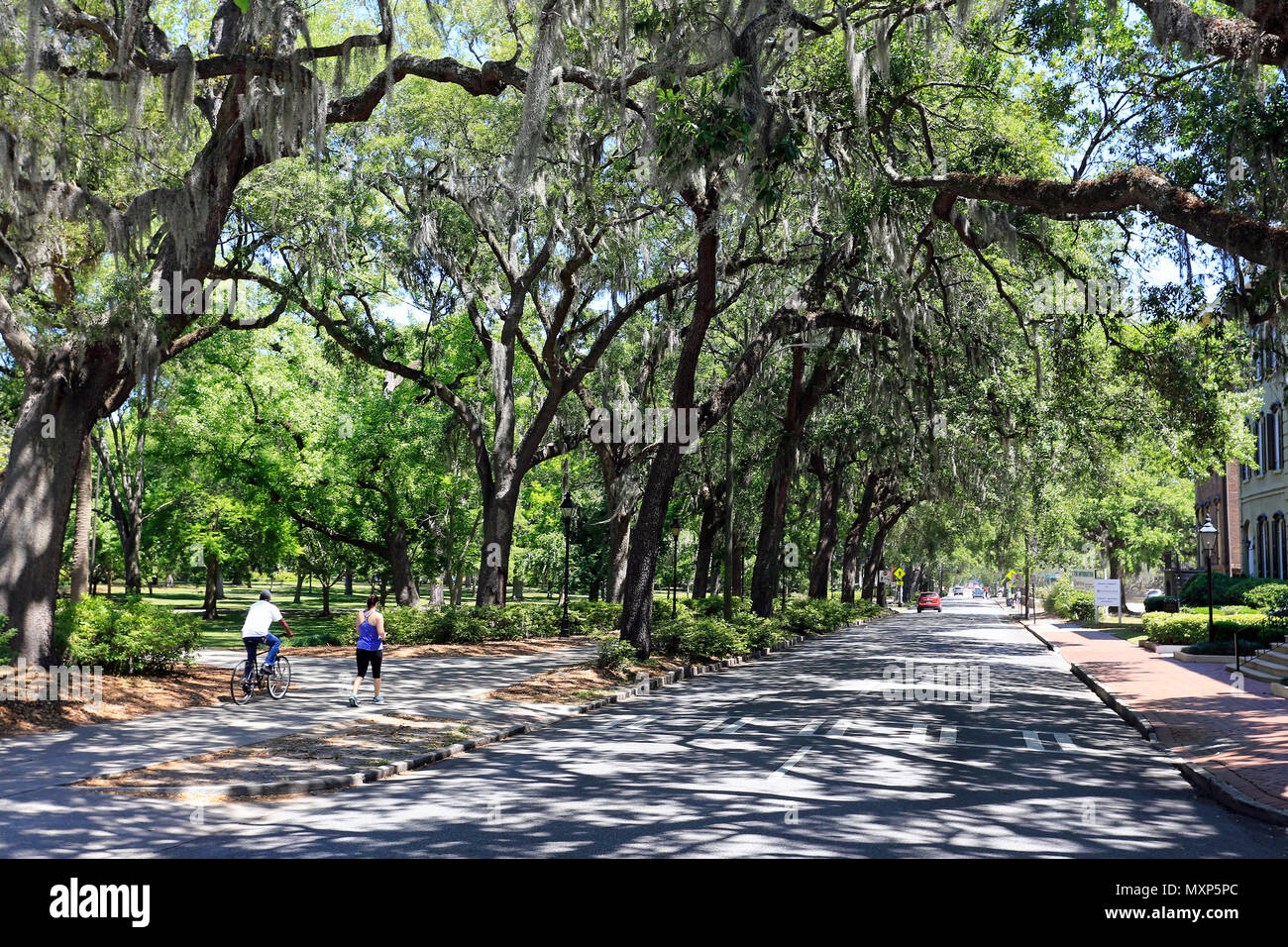Forsyth Park and Drayton Street in Savannah, USA Stock Photo Alamy