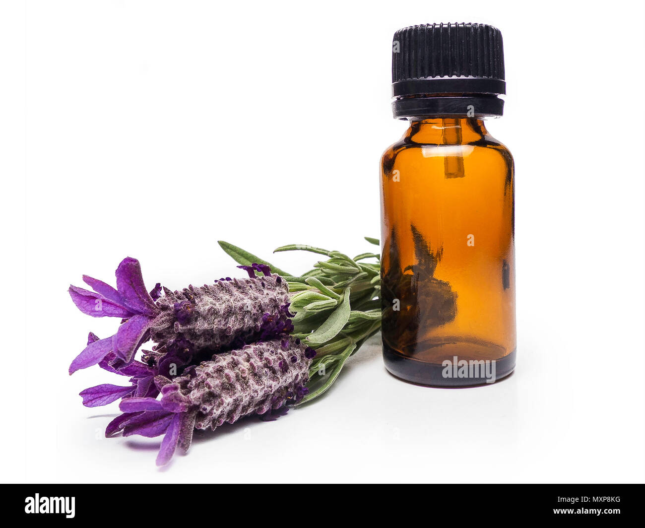 isolated wild Lavender and a bottle to it essential oil on white background Stock Photo