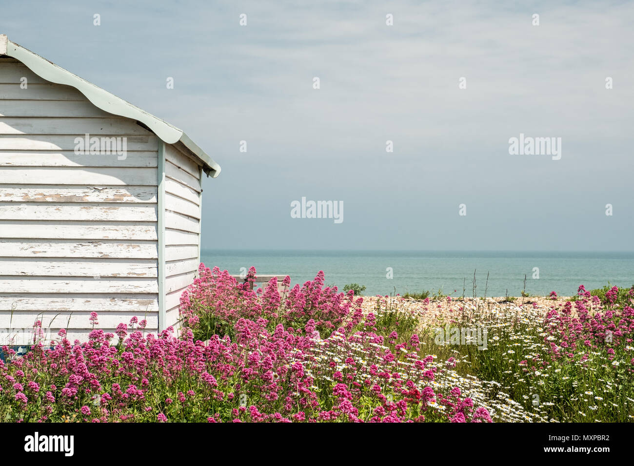 Kingsdown Beach Deal Kent UK Stock Photo Alamy