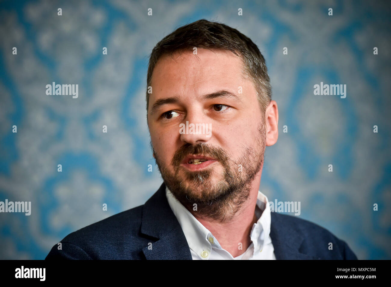 Zdenek Holy Stock Photo