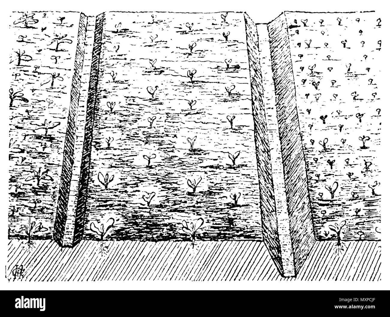 Drains and drainage Black and White Stock Photos & Images Alamy