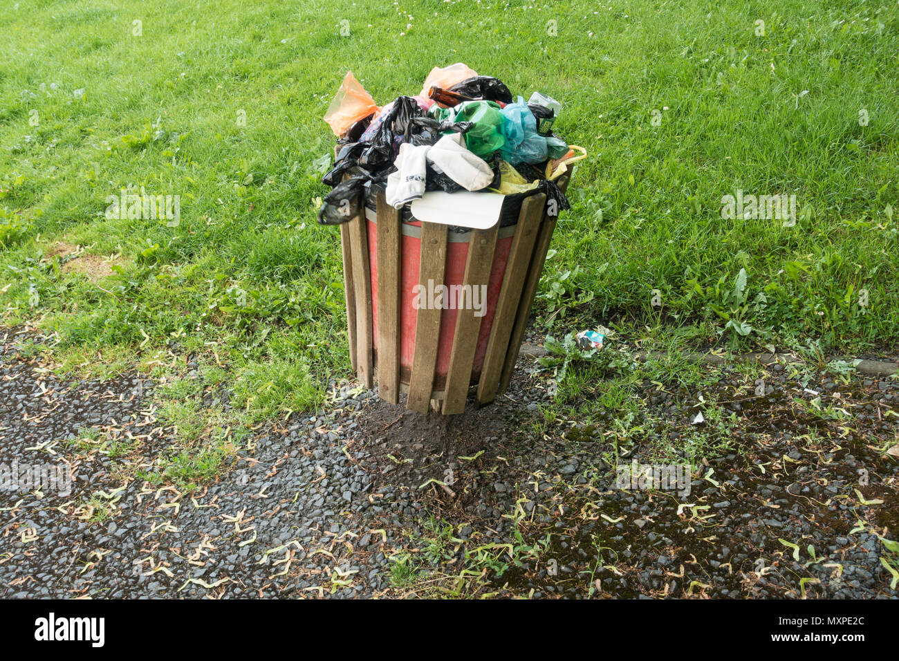 If the bin is full hi-res stock photography and images - Alamy