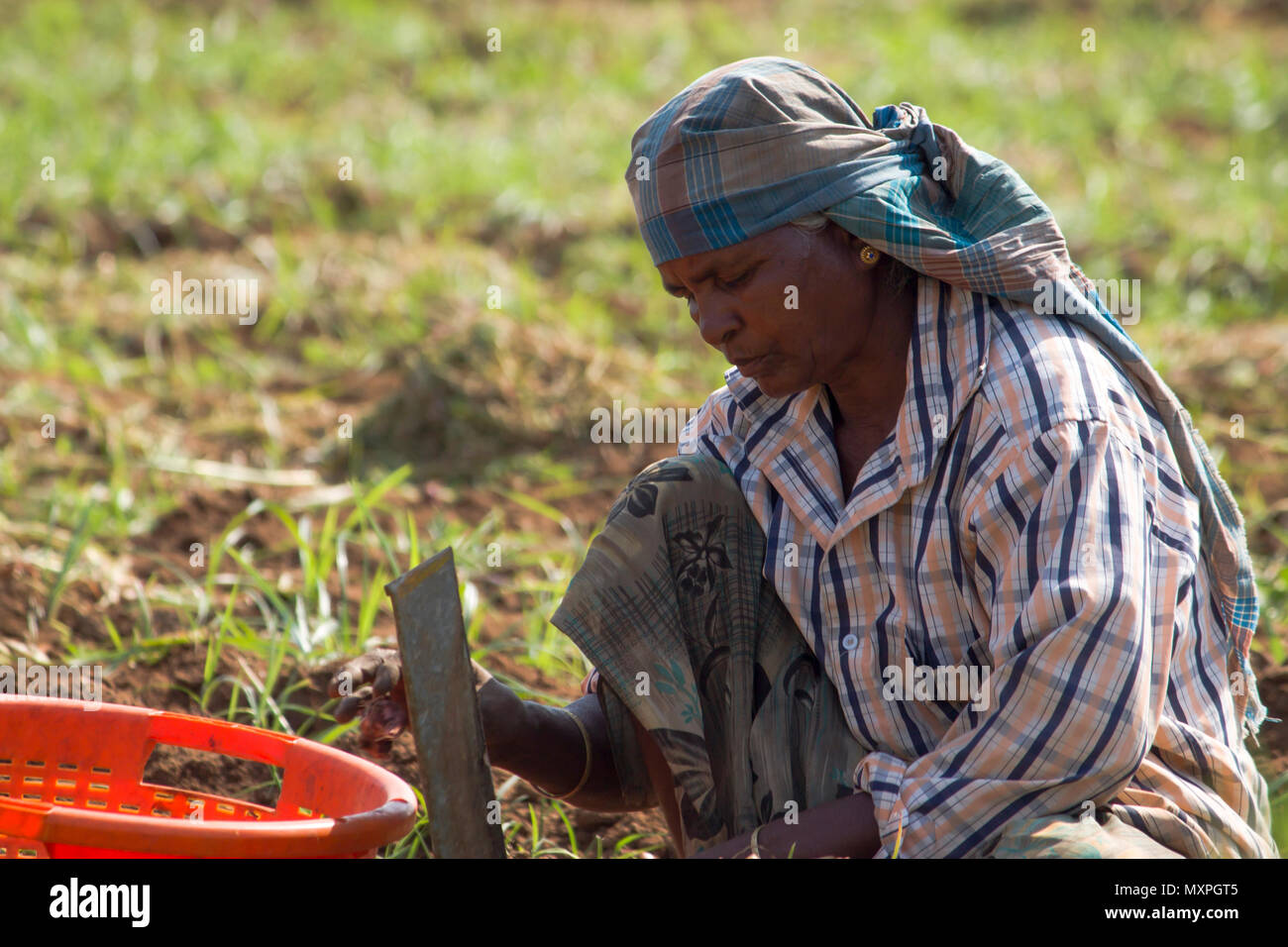 Tamil nadu farmers hi-res stock photography and images - Alamy