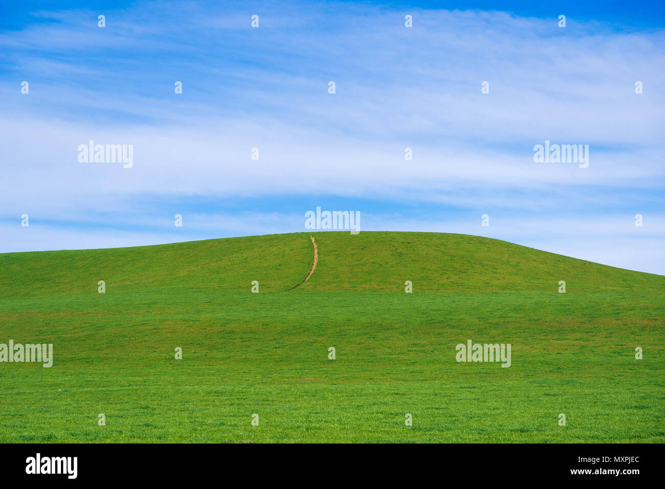 Panoramic view of nice green hill on blue sky background, New Zealand Stock Photo