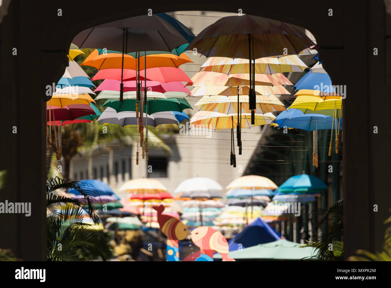 Rows of umbrellas hanging above a street in the Caudan Waterfront, Port