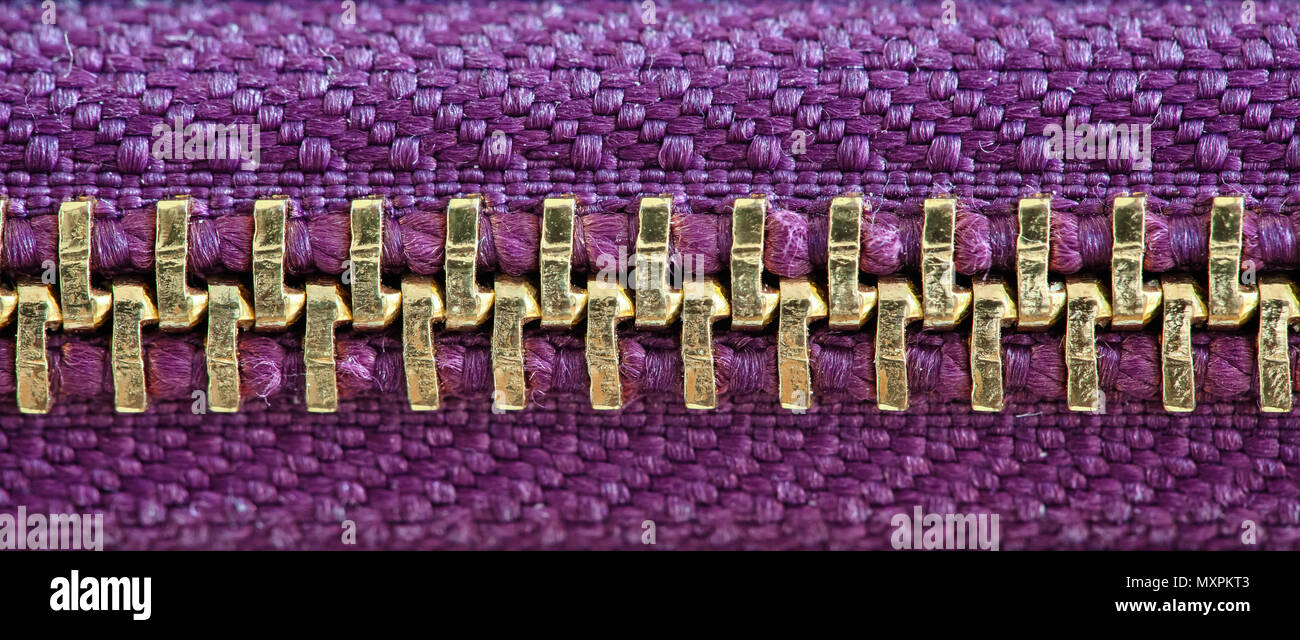 Purple and gold zipper tightly closed binding together two layers of fabric textile under high magnification close detail photography as texture backg Stock Photo