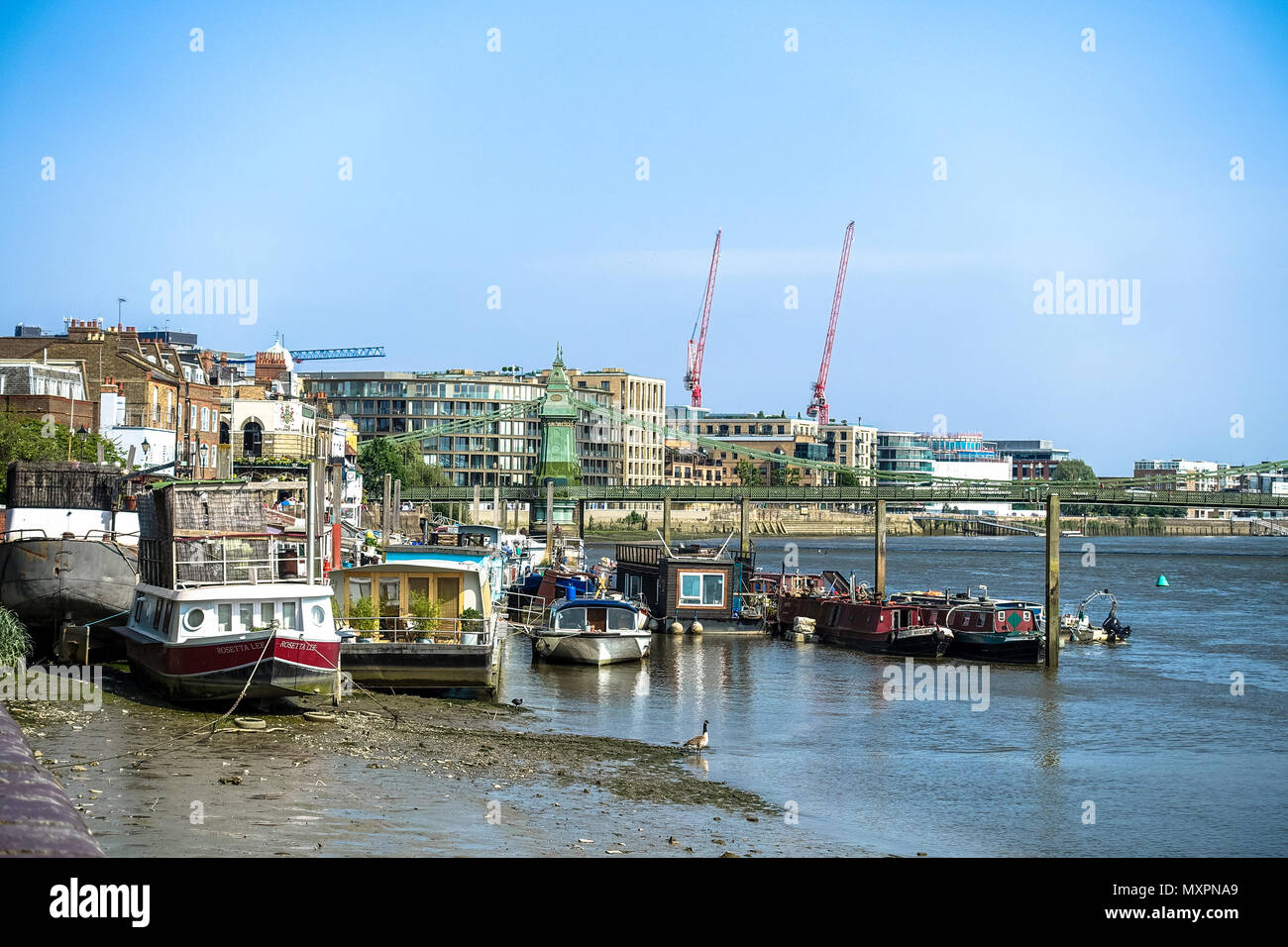A view looking down The River Thames towards Hammersmith Bridge in London. It is low tide and moored boats are beached on the mud of the river bed. Stock Photo