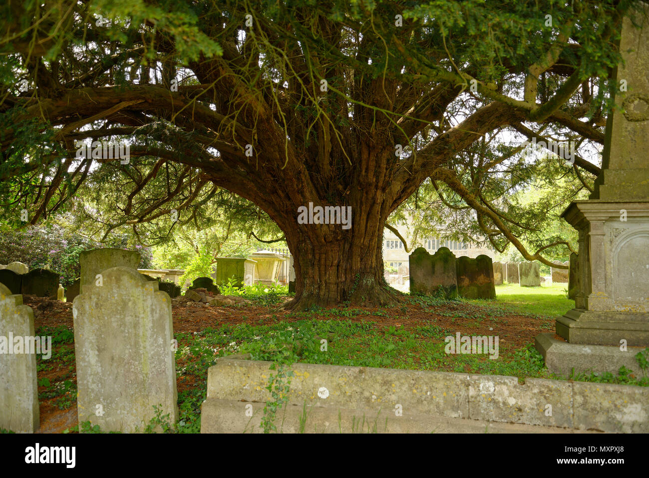 West Hoathly churchyard. West Sussex, England, UK Stock Photo