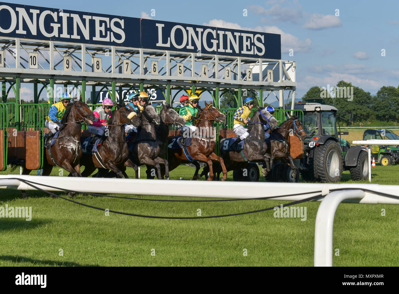 Horse Racing Start Gate High Resolution Stock Photography And Images Alamy