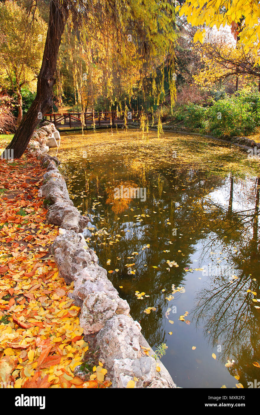 The Retiro park in Autumn. Madrid, Spain. Stock Photo