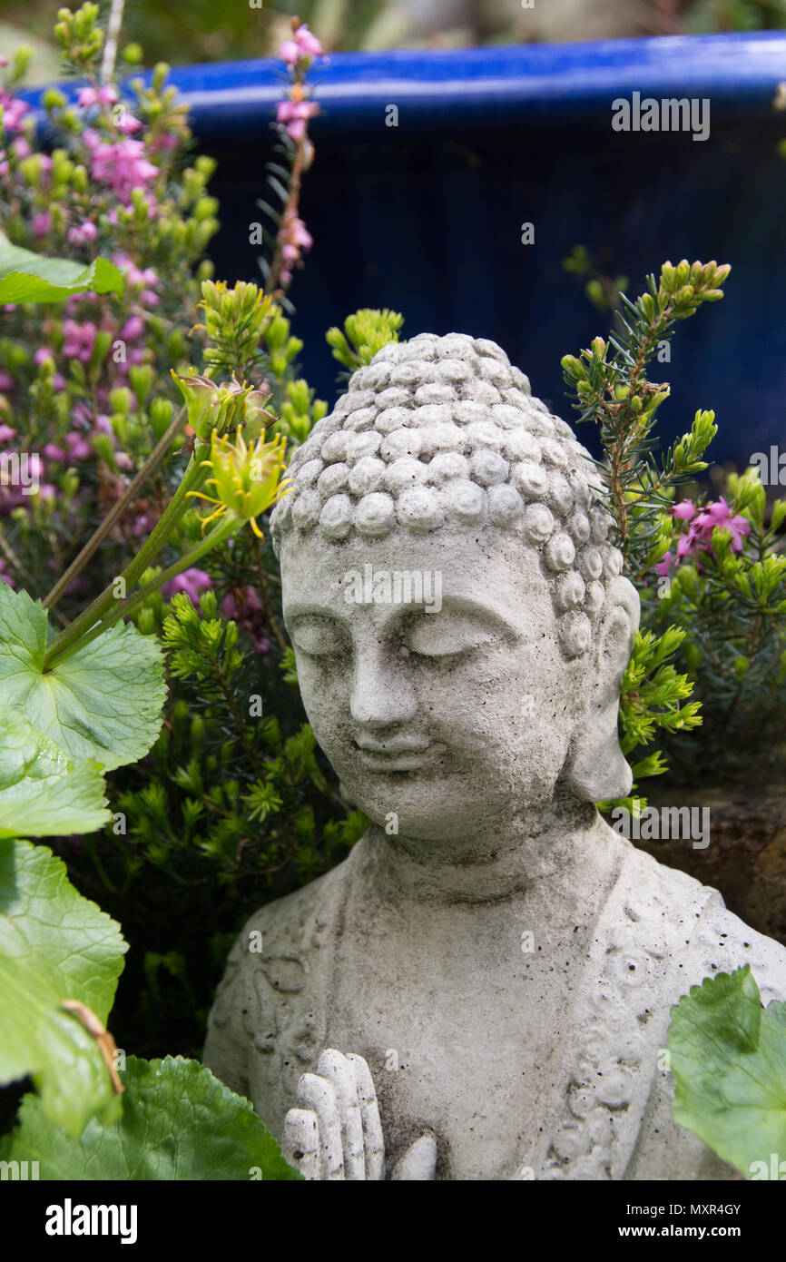 Protection Buddah amongst plants Stock Photo
