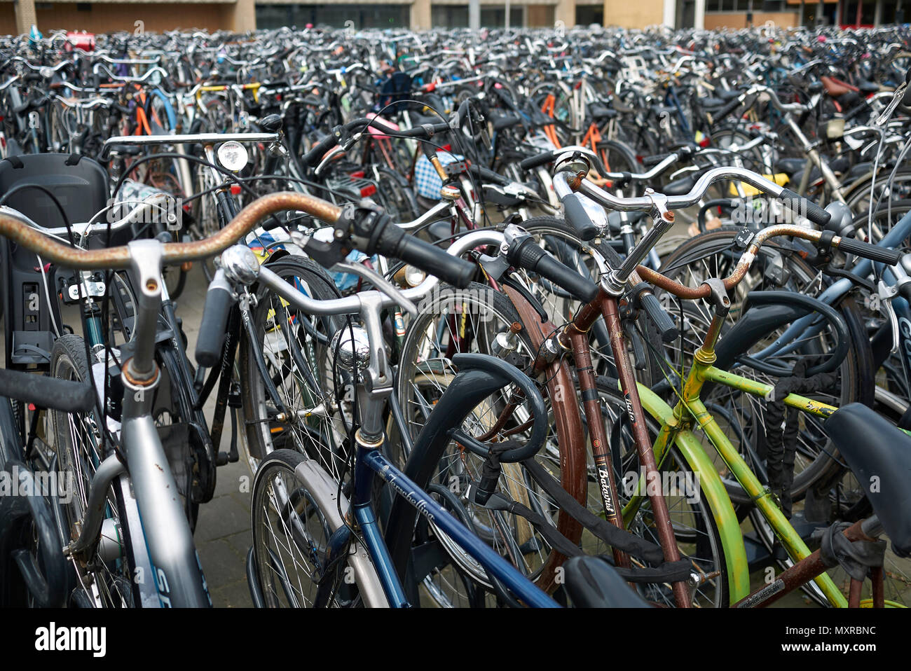 Eindhoven cycle hires stock photography and images Alamy
