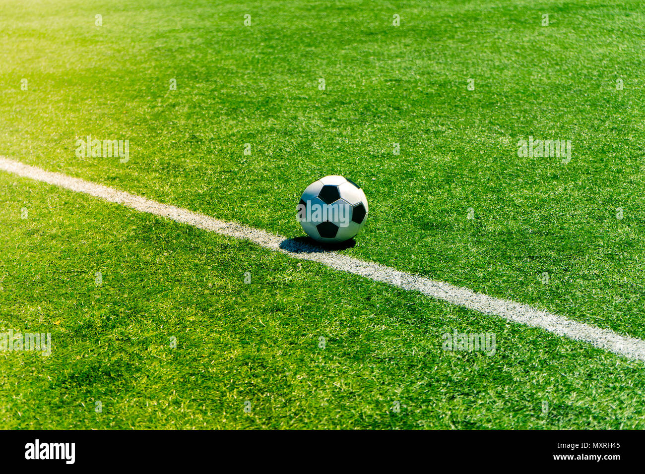 Soccer football field stadium grass line. Sport background Stock Photo -  Alamy